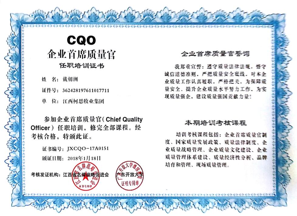 CQO企业首席质量官（戴）