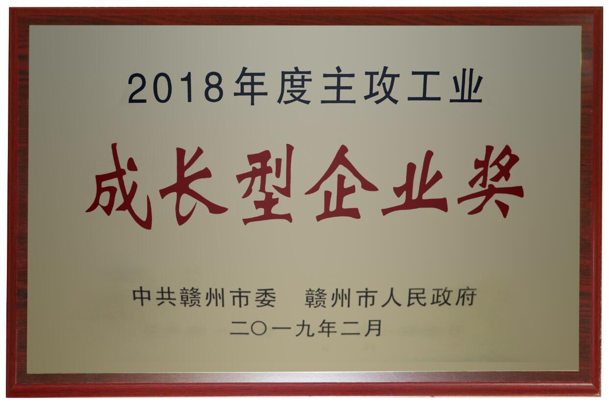 2018年度主攻工业成长型企业奖