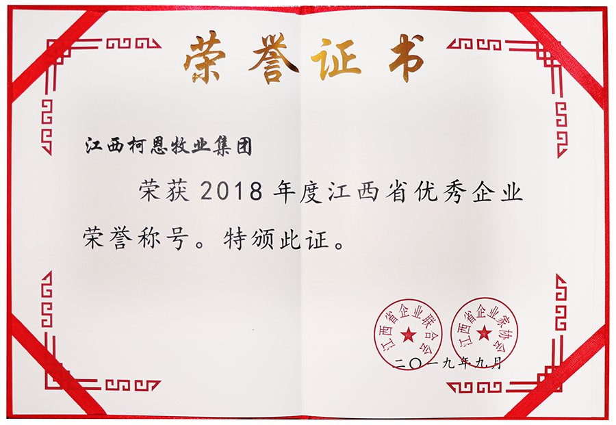 2018年度江西省优秀企业（证书）
