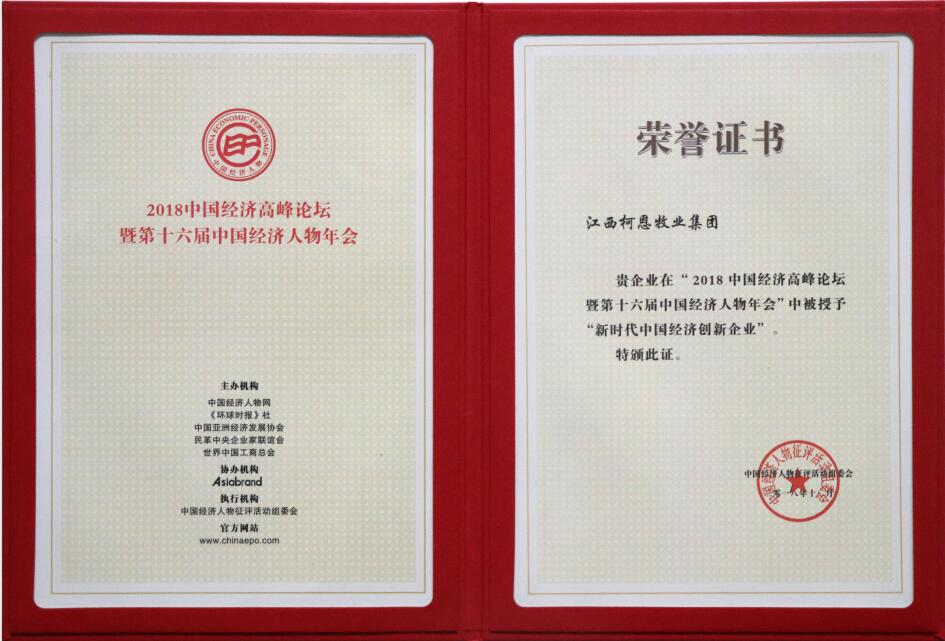 新时代中国经济创新企业（证书）