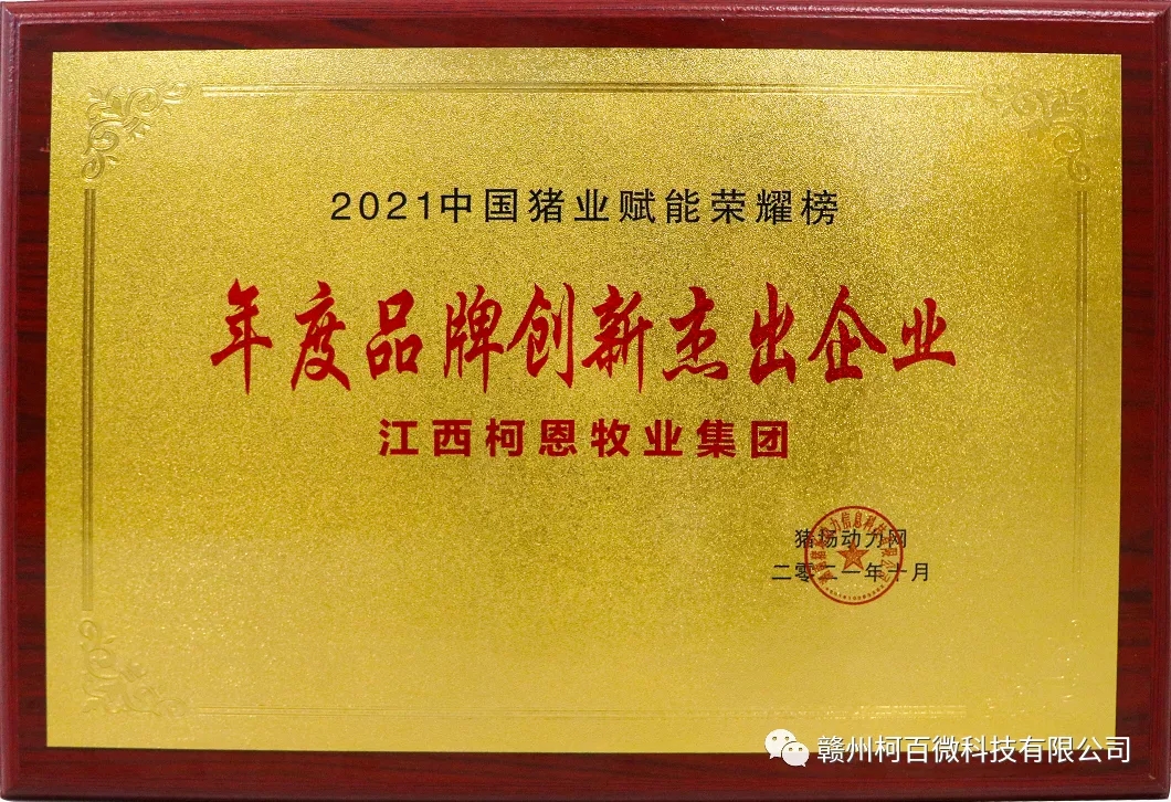 年度品牌创新杰出企业（2021年）