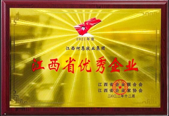 2022年度江西省优秀企业（牌匾）