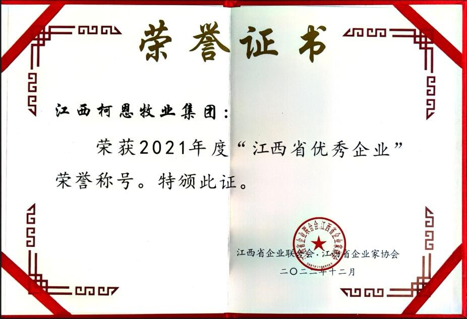 2022年度江西省优秀企业（证书）
